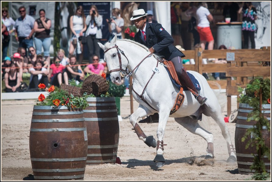 Pferd International 122